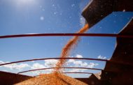 CNA prevê aumento da produção do agronegócio no próximo ano