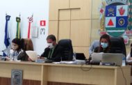 Câmara aprova Dia da Mãe Adotiva e Mês de conscientização contra Fake News em Manhuaçu