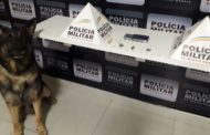 Cão de faro localiza drogas no bairro São Francisco de Assis