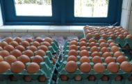 IMA realiza certificação inédita de granja produtora de ovo caipira