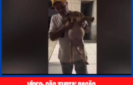 Video:cão 'furta' ração, come demais, e turoe mostra barrigão