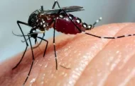 Itabira corre risco de surto de dengue
