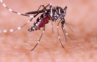 Manhuaçu confirma segunda morte por dengue em 2023