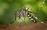 Manhuaçu confirma primeira morte por dengue em 2023