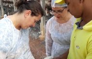 Instituto Mineiro de Agropecuária adota rotina especial durante alerta contra gripe aviária