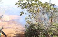 Minas adota prevenção a incêndios florestais como prioridade e se antecipa ao período seco