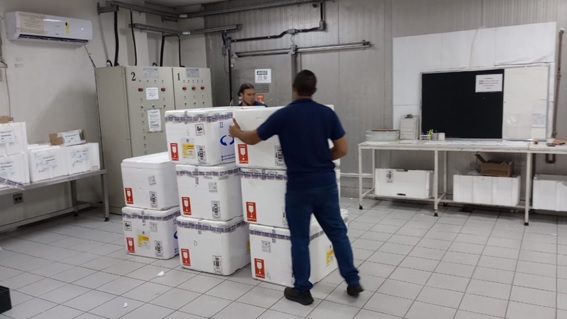 Minas Gerais inicia distribuição de 640 mil doses da vacina contra a Influenza