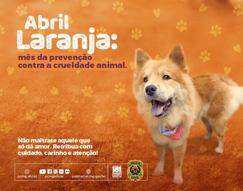 Abril Laranja: PCMG orienta para prevenir maus-tratos a animais